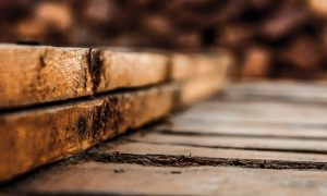 cherestea de pe RWIM