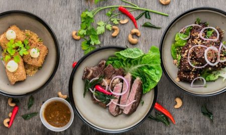 mancare gatita Ilfov