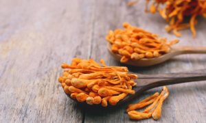 cordyceps-beneficii