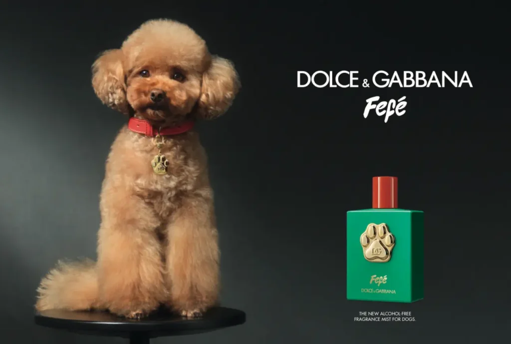 Dolce & Gabbana fefe