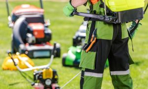 Specialistulcasei.ro: 5 motive să folosești o motocoasă pentru întreținerea gazonului