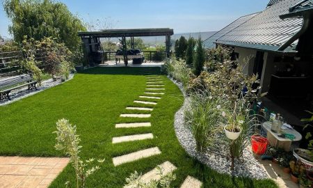 Amenajari gradini Iasi