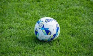 intretinere terenuri sportive naturale