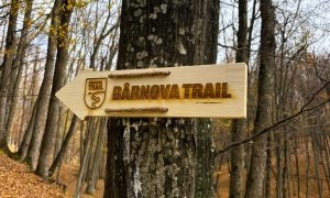 Traseu Bârnova Iași: Descoperă noul Bârnova Trail și secretele pădurii la Poiana cu Cetate