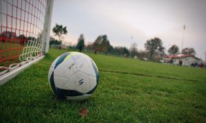 gazon de stadion pe sistem hibrid