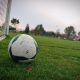 gazon de stadion pe sistem hibrid