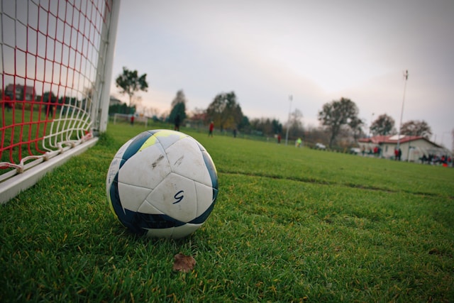 gazon de stadion pe sistem hibrid