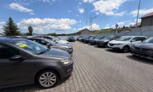 Auto bune parc 1